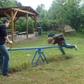 DSC01342.jpg