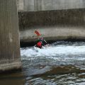 DSC02172.jpg