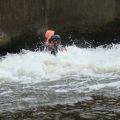 DSC02177.jpg