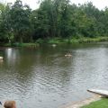 DSC02183.jpg