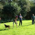 DSC02288.jpg