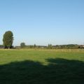 DSC02315.jpg