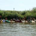 DSC05406.jpg