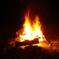 DSC05452.jpg