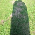 IMG_3732.JPG