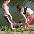 IMG_3742.JPG