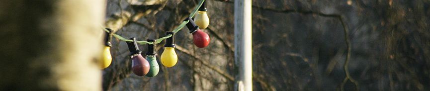 bildbanner11