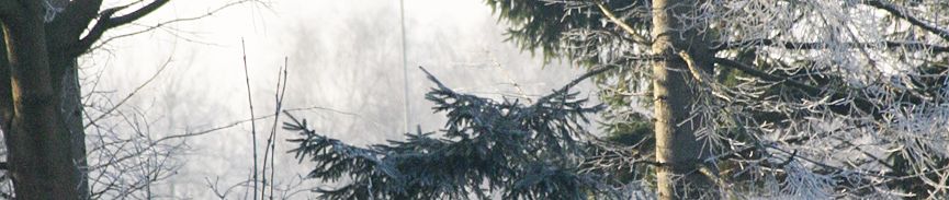 bildbanner12