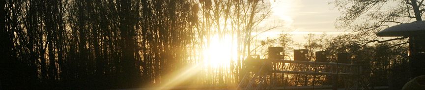 bildbanner13