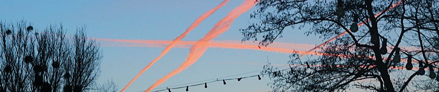 bildbanner16