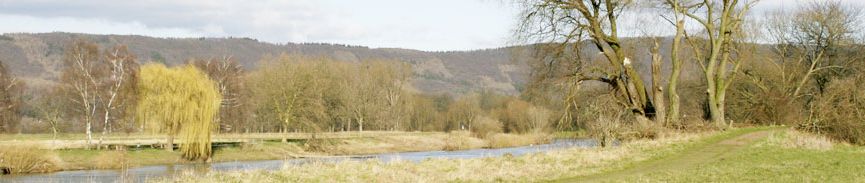 bildbanner17
