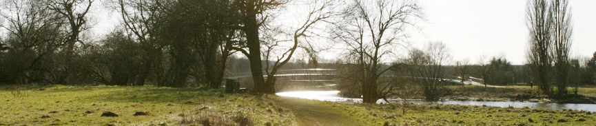 bildbanner18