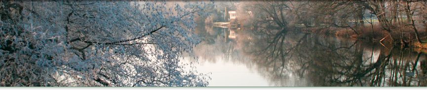 bildbanner2