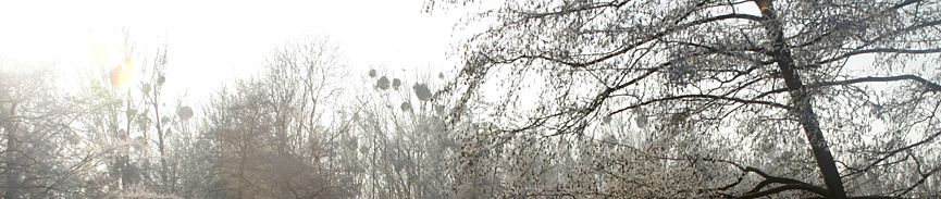 bildbanner5