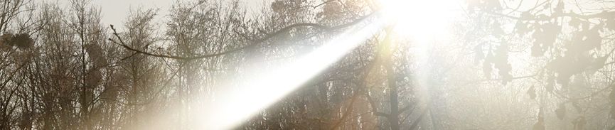 bildbanner6