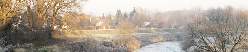 bildbanner7