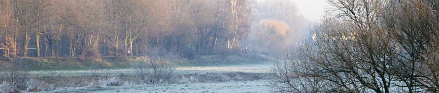 bildbanner8